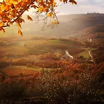 Bolara 60: The Grožnjan