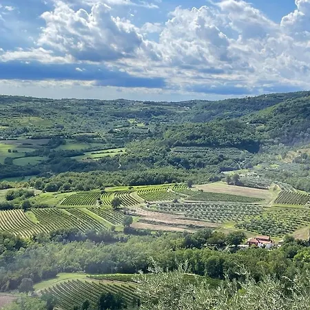 Bolara 60: The Grožnjan
