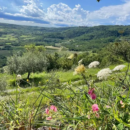 Bolara 60: The Nyaraló Grožnjan
